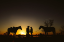 Horse.Business
